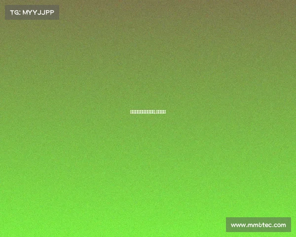 洛洛电子竞技赛第二名,电竞洛风